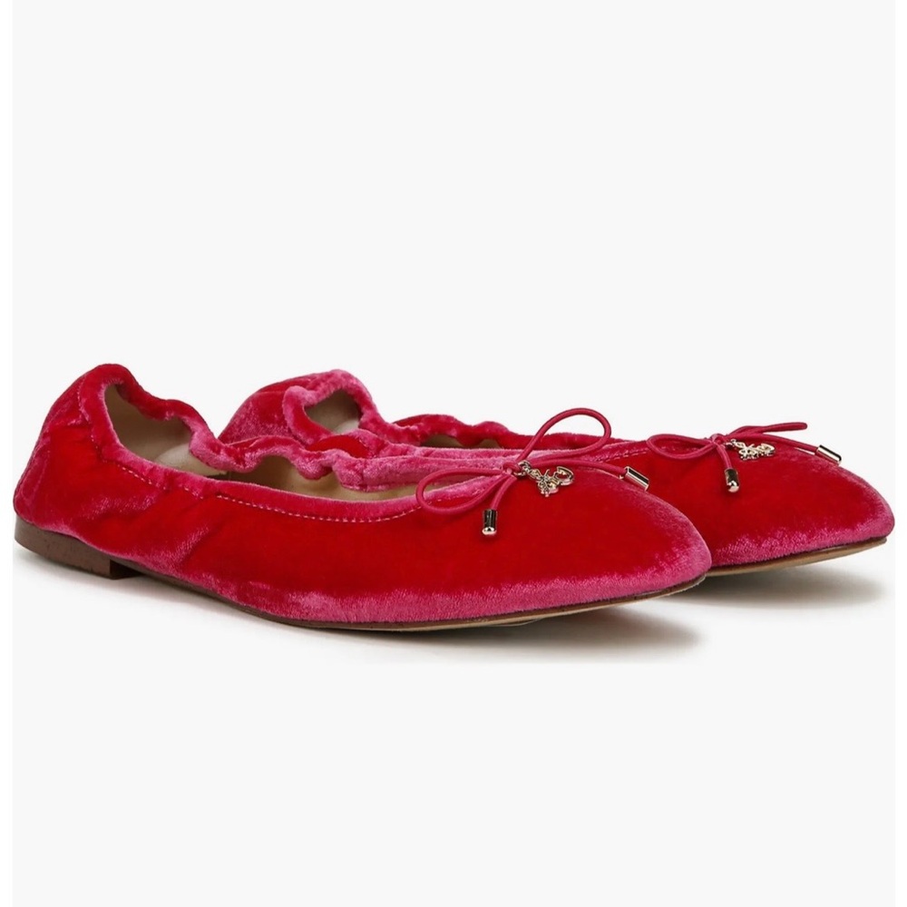 NWB Sam Edelman Felicia Ballet Flat (Women)